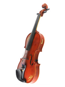 Concert Series Acoustic-Electric Violin
